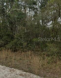Listing Details for  Kent  , INTERLACHEN, FL 32148