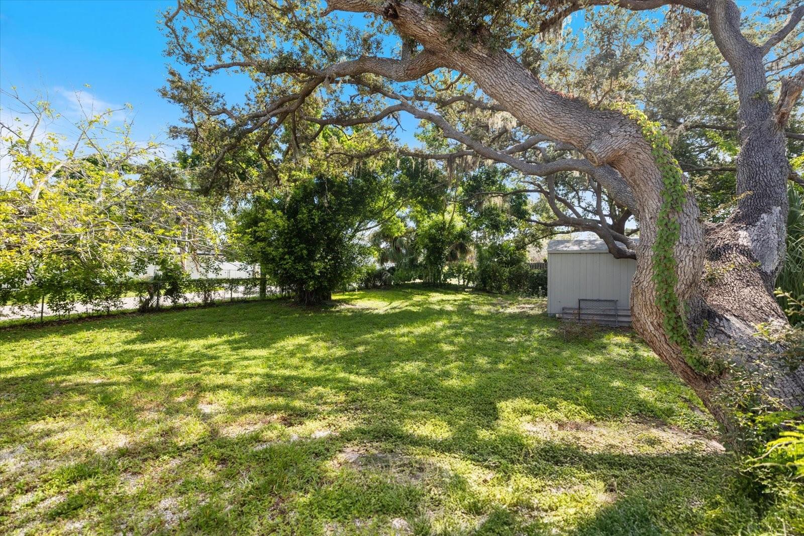 Image 54 of 61 For 8915 Vamo Road