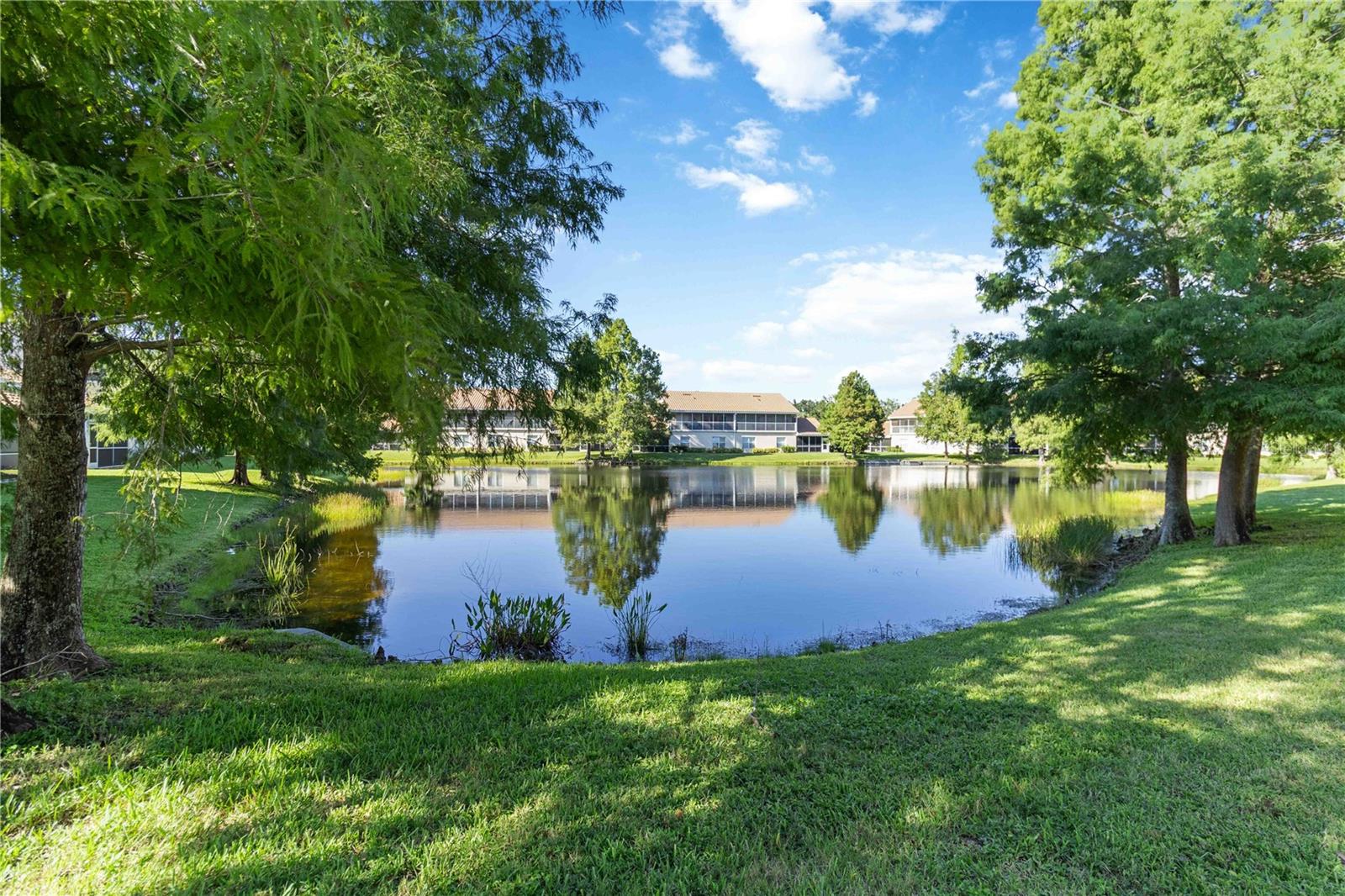 Image 10 of 42 For 7064 Strand Circle 101