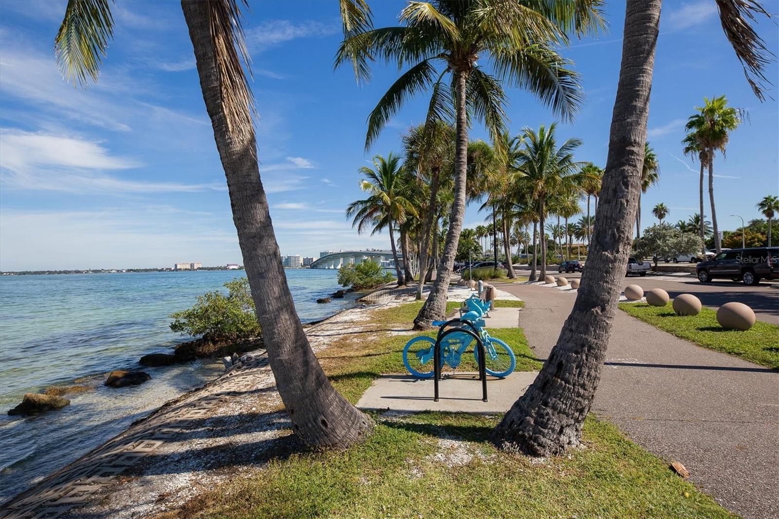 Image 42 of 77 For 2375 Bahia Vista Street
