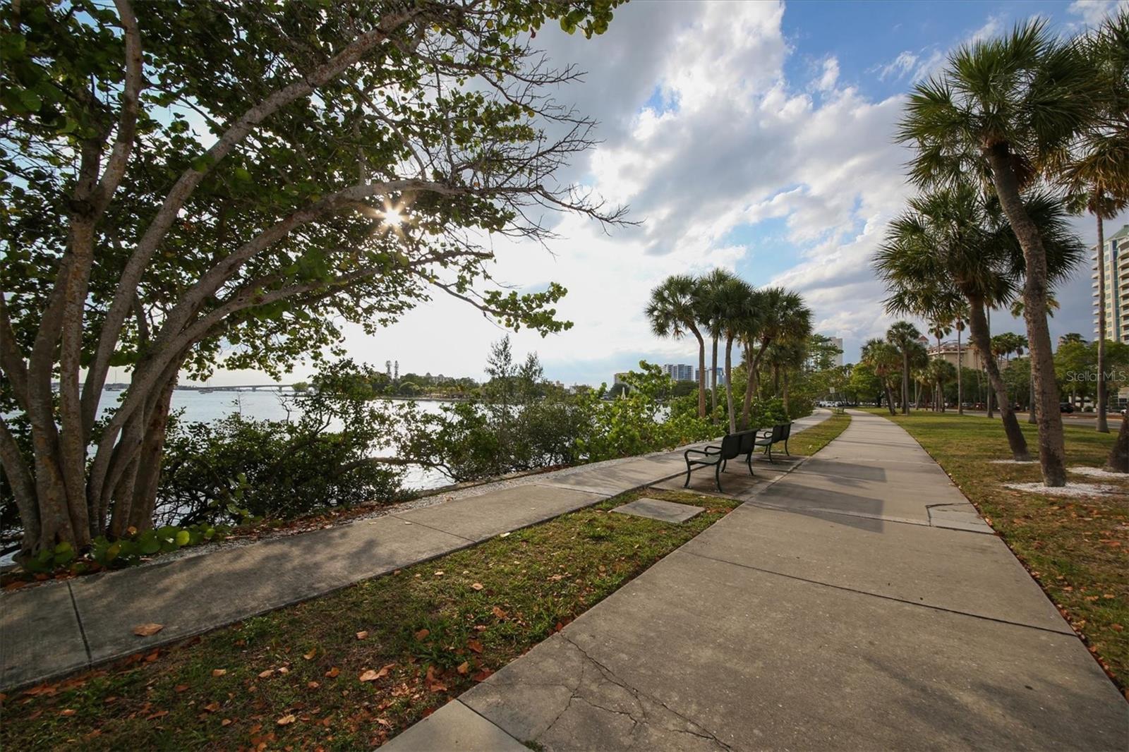 Image 44 of 77 For 2375 Bahia Vista Street