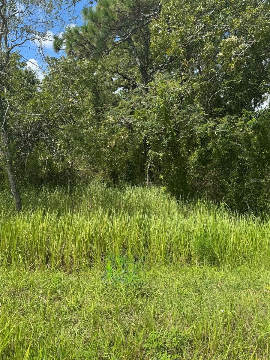 Image 3 of 3 For 9007-0090-15 Bahia Pass Court