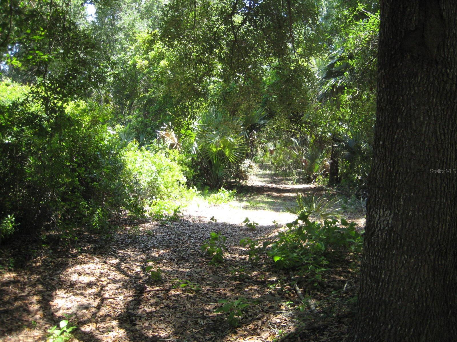 Image 2 of 6 For  Us-1  