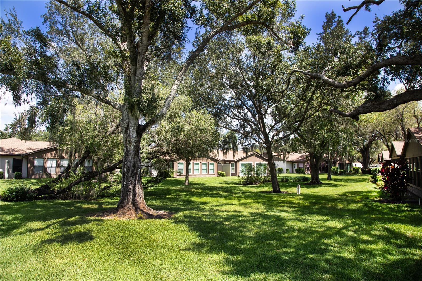 Image 24 of 30 For 4703 Oak Hill Drive 4