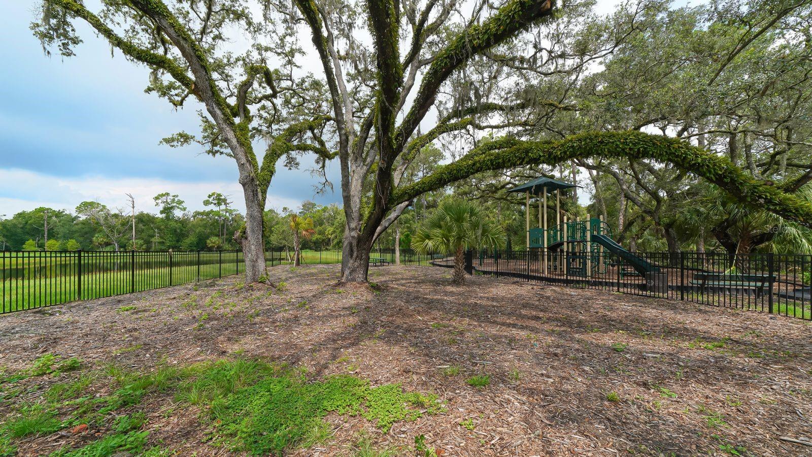 Image 42 of 44 For 6631 Calypso Coral Lane