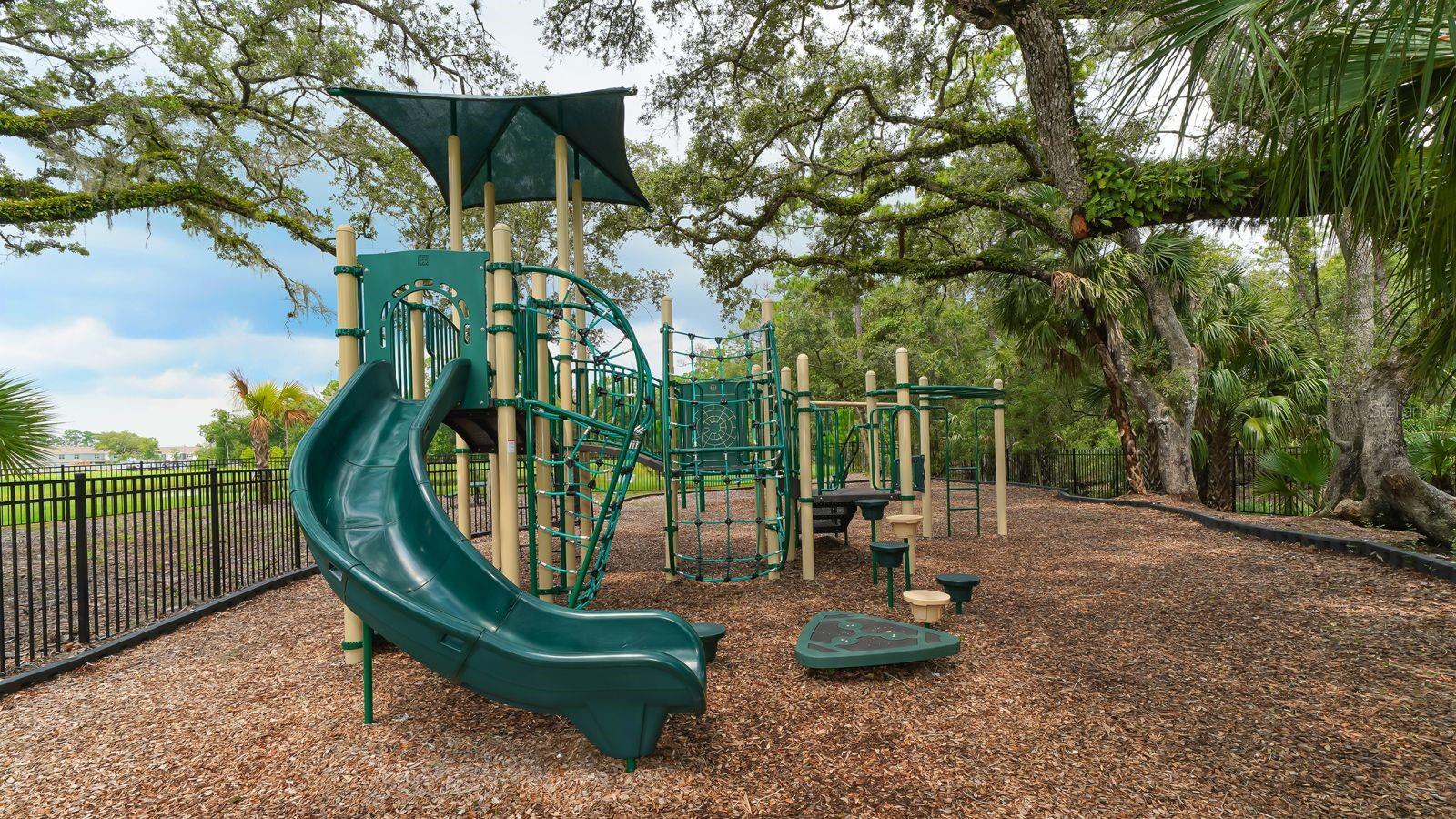 Image 43 of 44 For 6631 Calypso Coral Lane