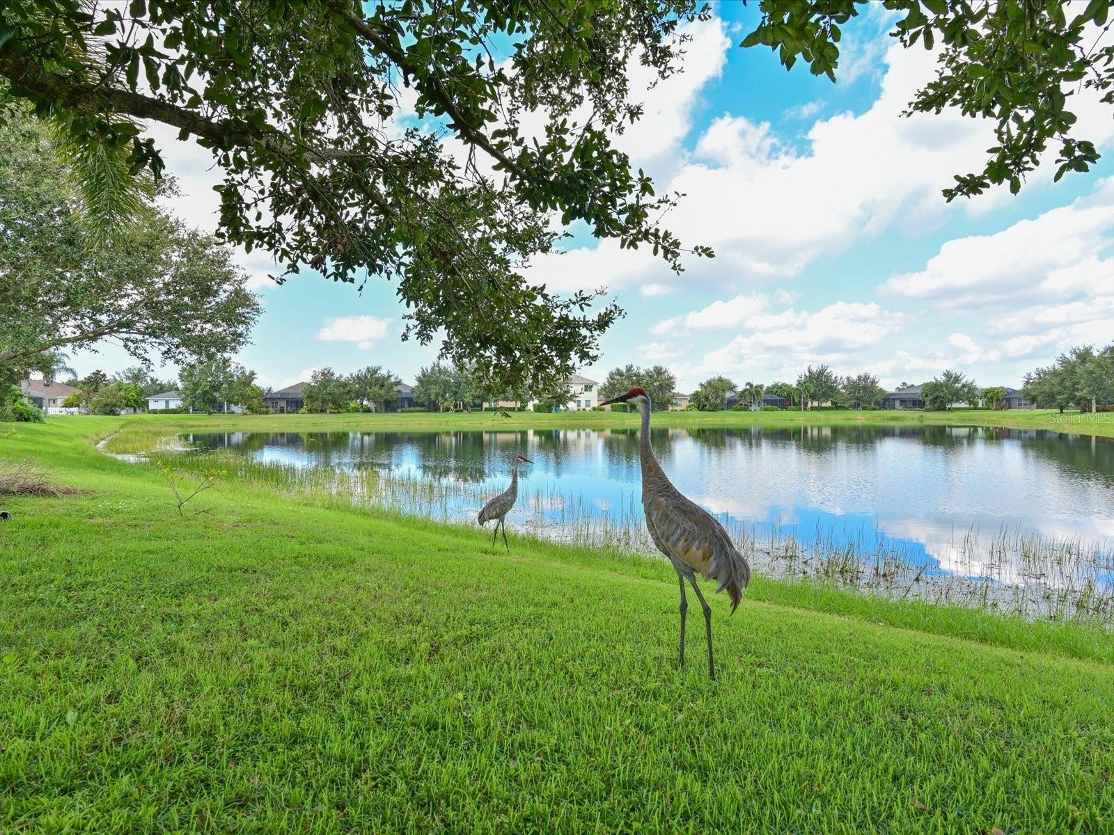 Image 31 of 51 For 11907 Forest Park Circle