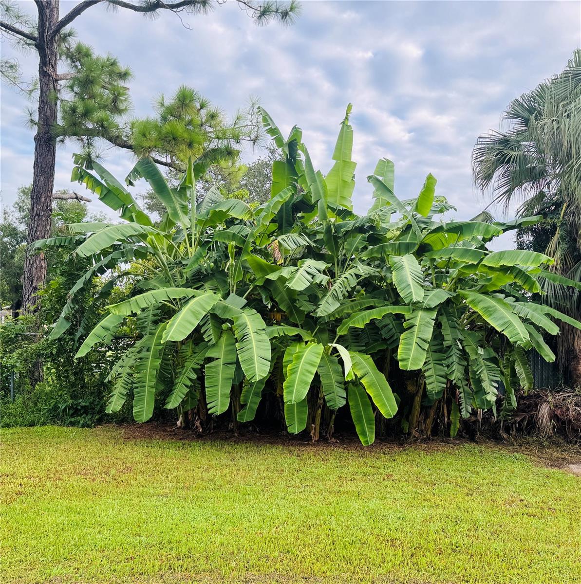 Image 18 of 18 For 1810 17th Street E