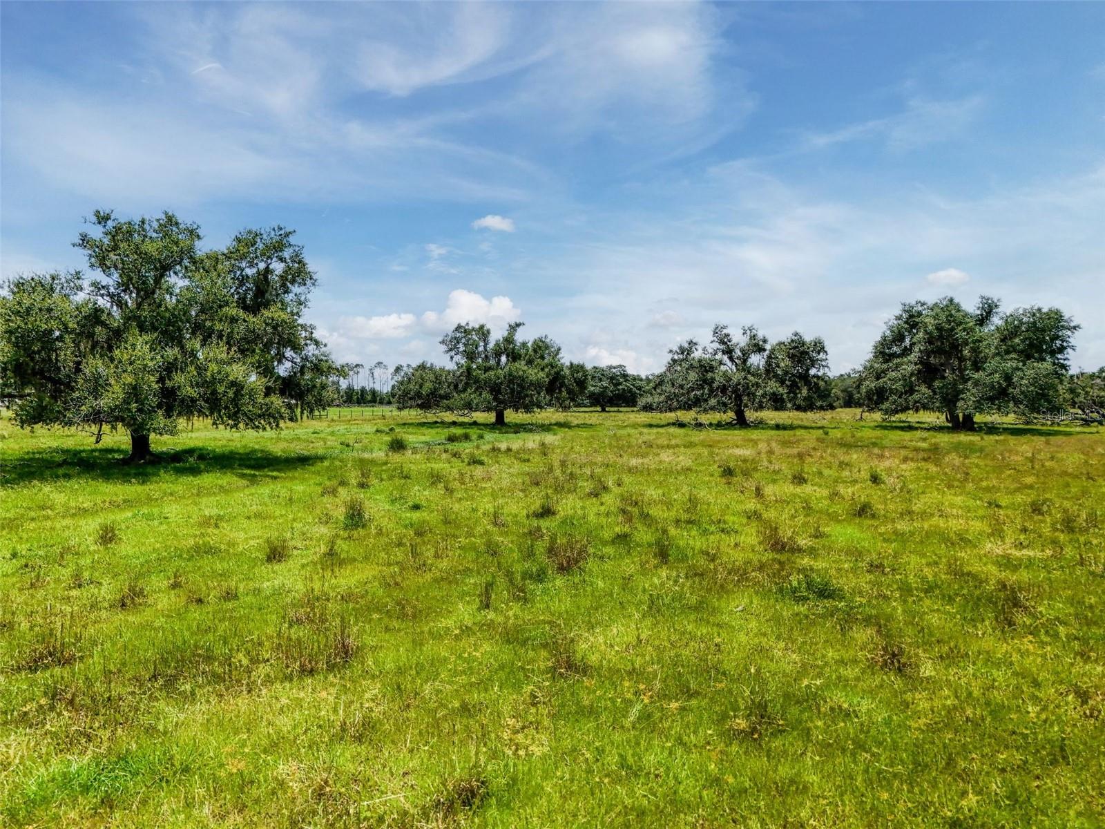 Image 11 of 32 For 12950 River Road