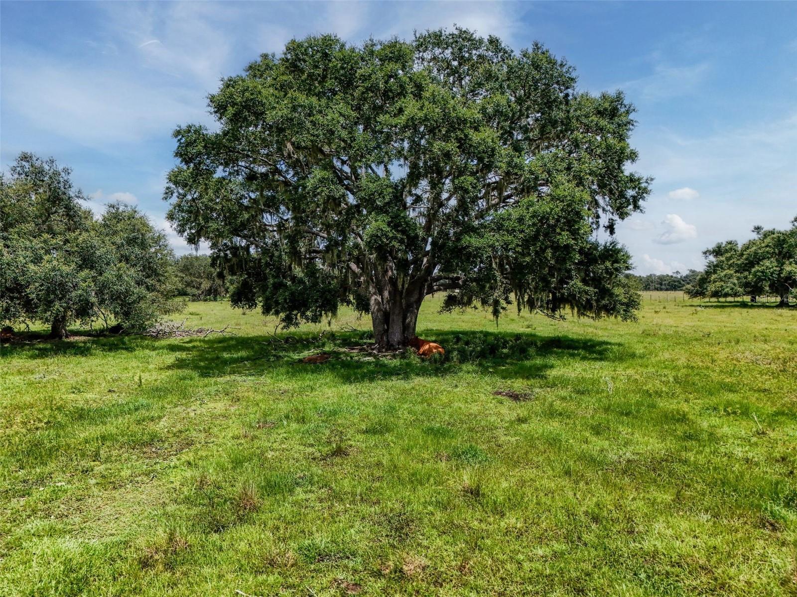 Image 14 of 32 For 12950 River Road