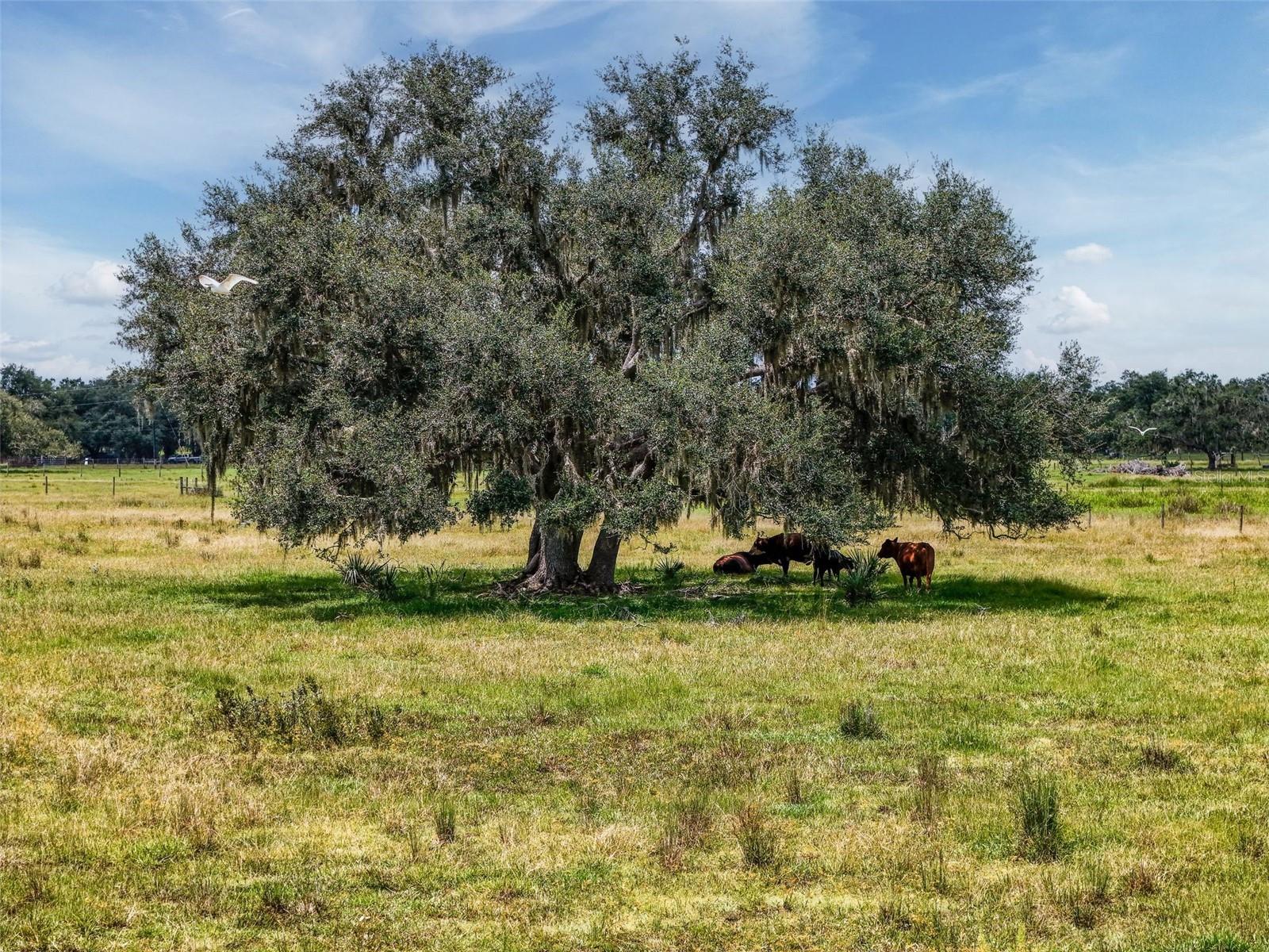 Image 15 of 32 For 12950 River Road