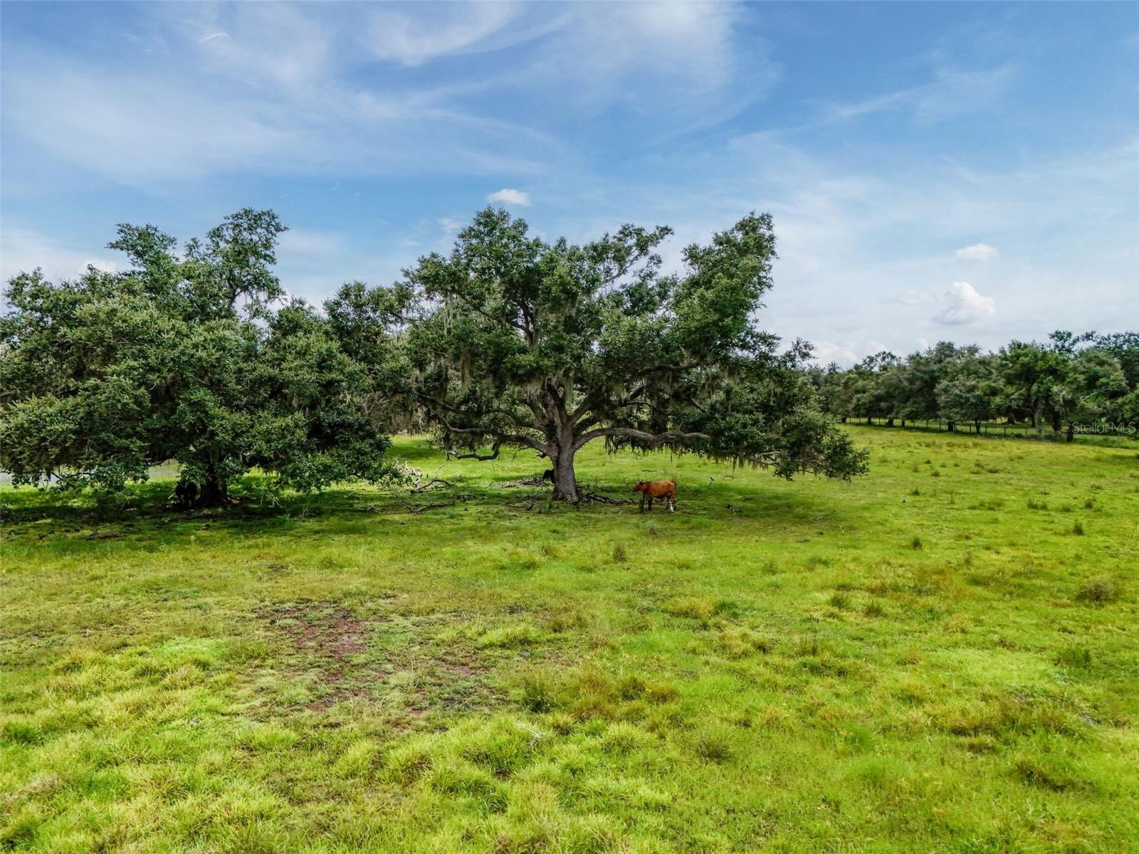 Image 18 of 32 For 12950 River Road