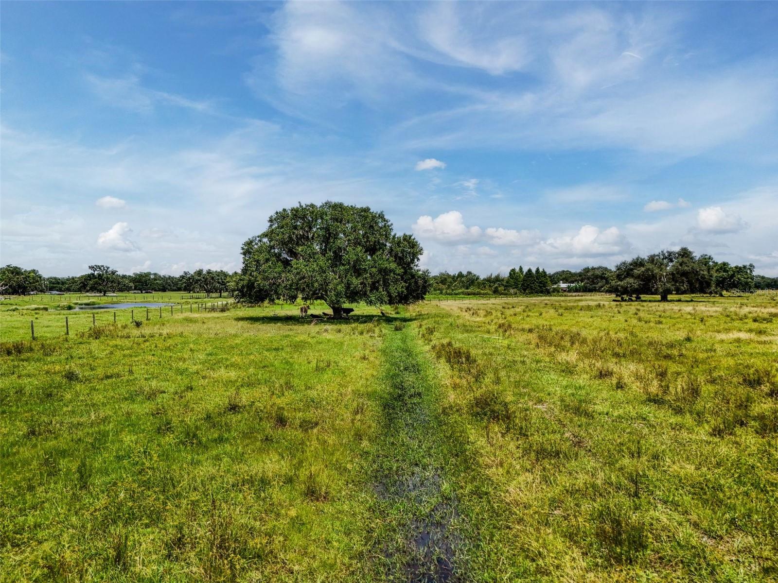 Image 20 of 32 For 12950 River Road