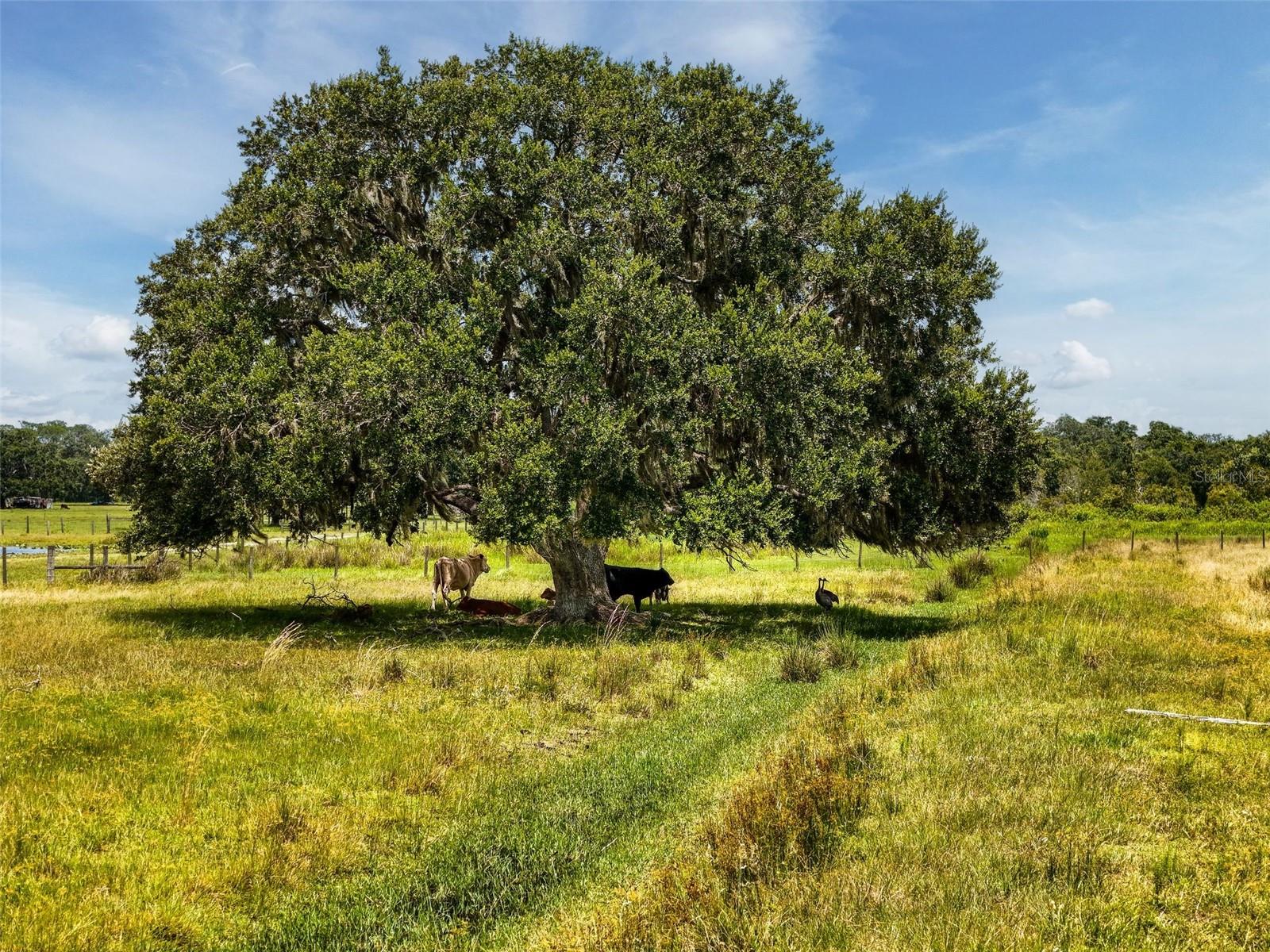 Image 21 of 32 For 12950 River Road