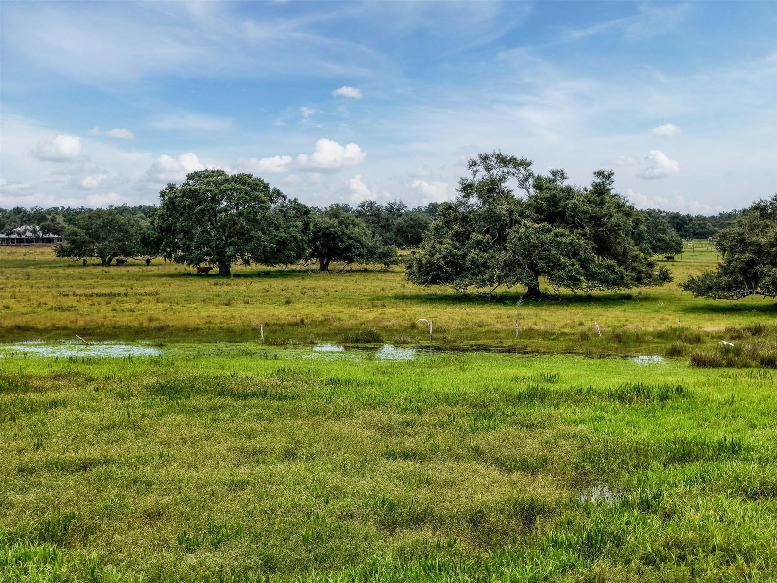 Image 22 of 32 For 12950 River Road