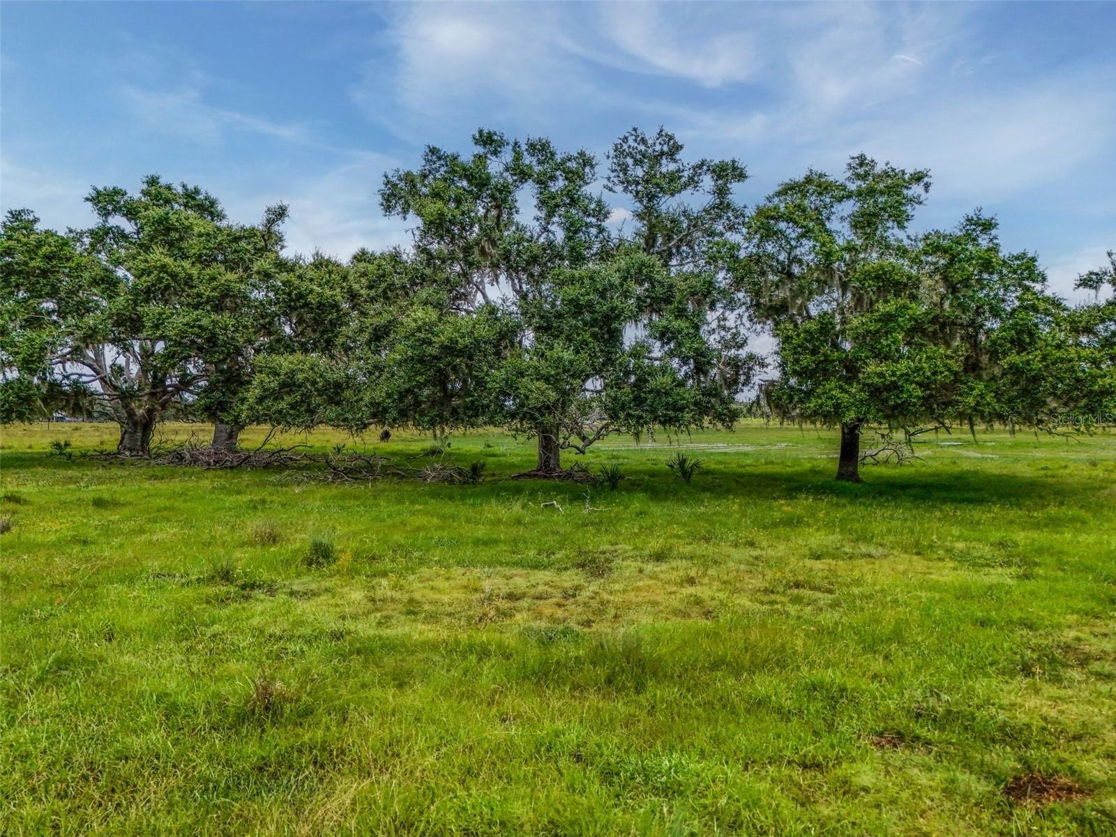 Image 23 of 32 For 12950 River Road