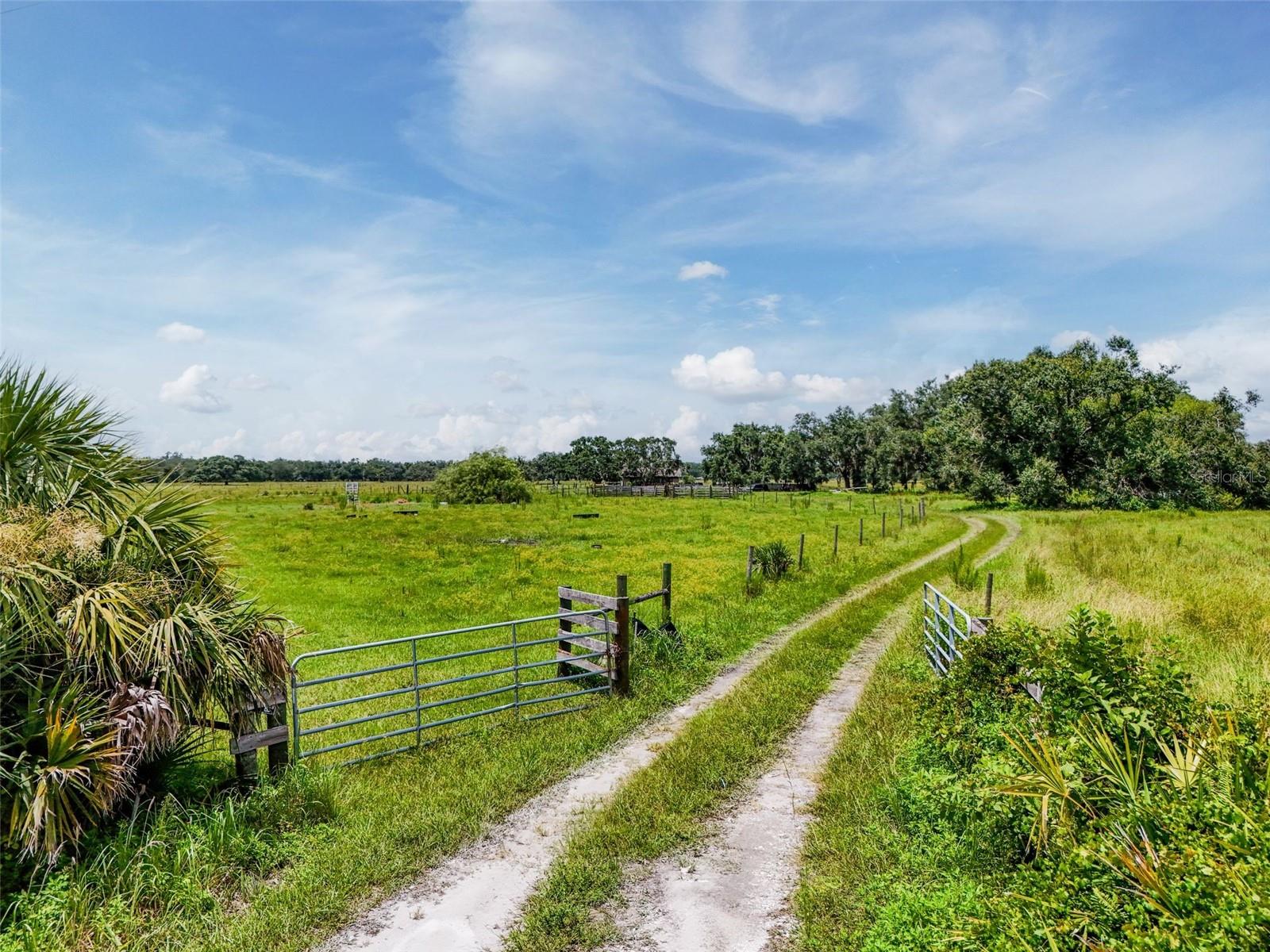 Image 5 of 32 For 12950 River Road