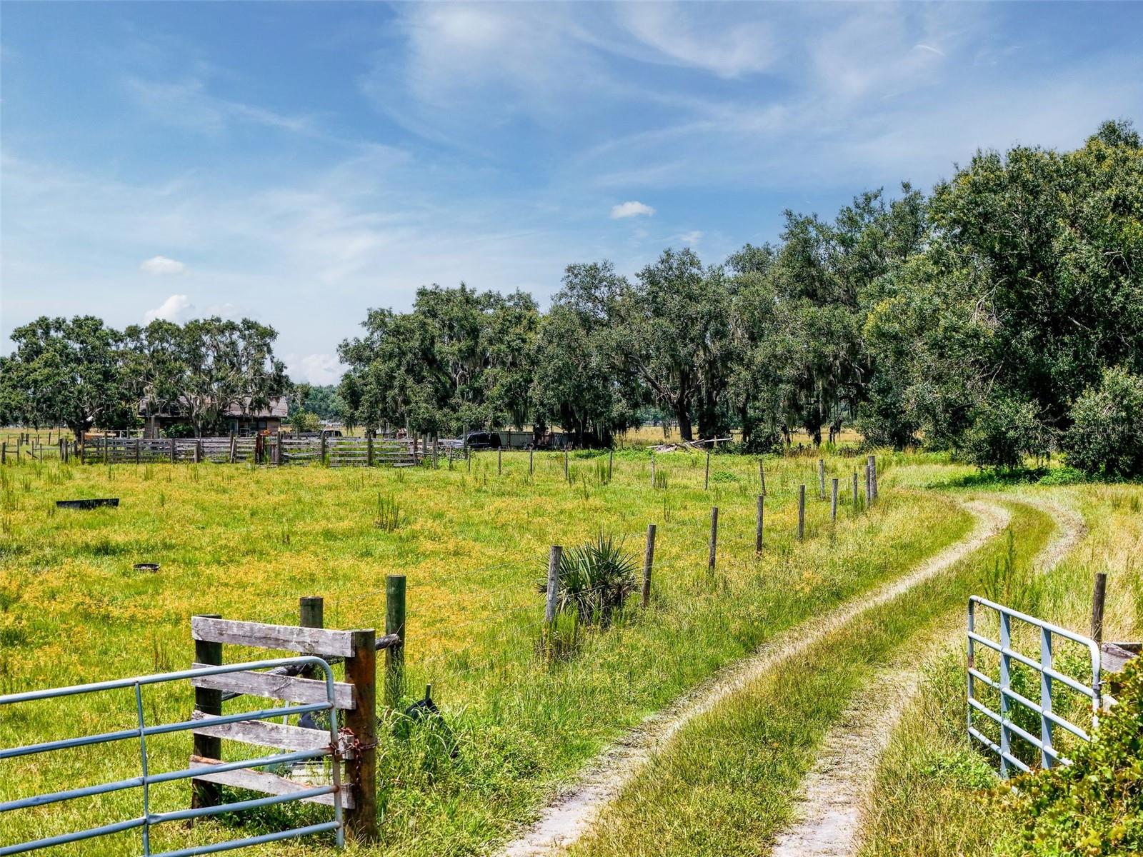 Image 6 of 32 For 12950 River Road