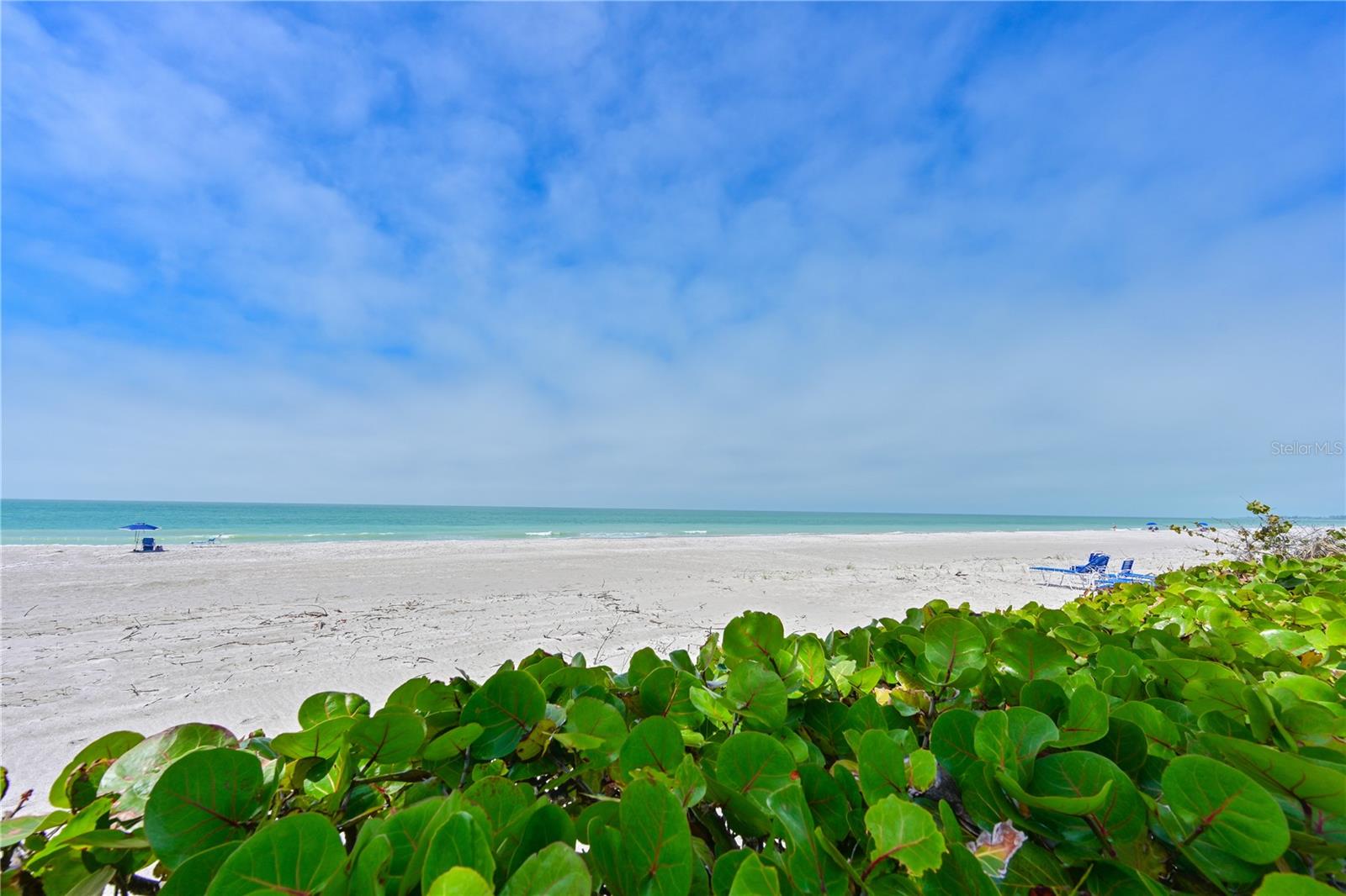 Image 25 of 31 For 3810 Gulf Of Mexico Drive F302