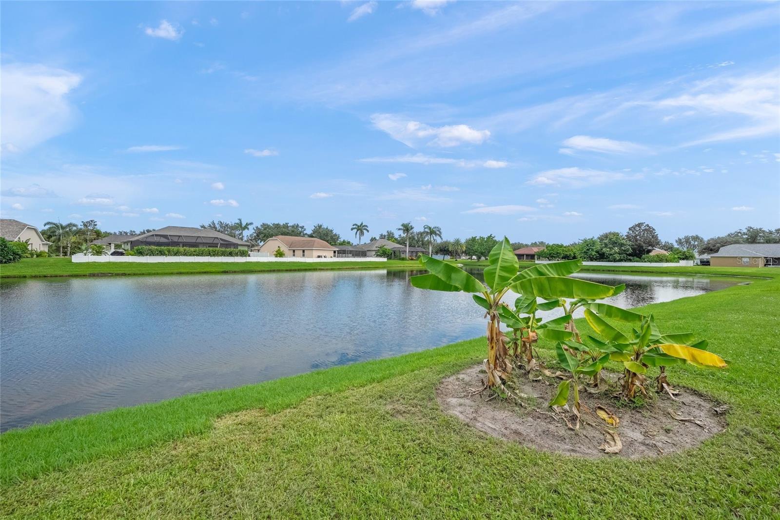 Image 38 of 42 For 4542 35th Avenue Circle E