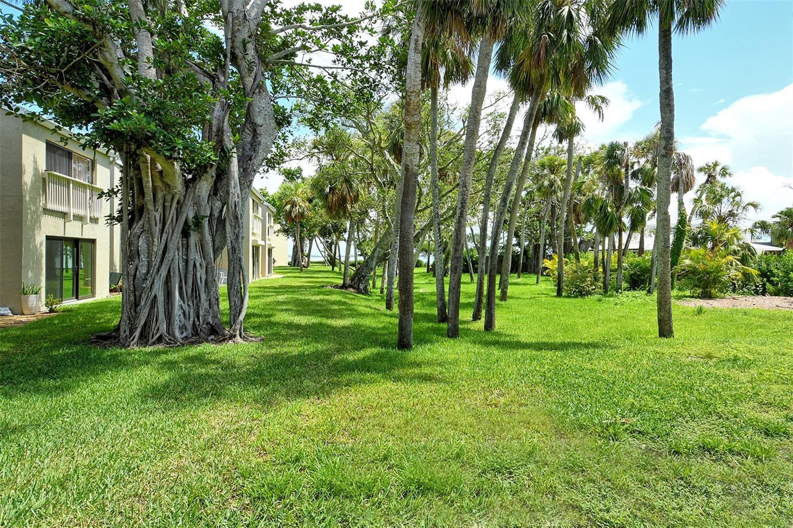 Image 33 of 48 For 5260 Gulf Of Mexico Drive 401