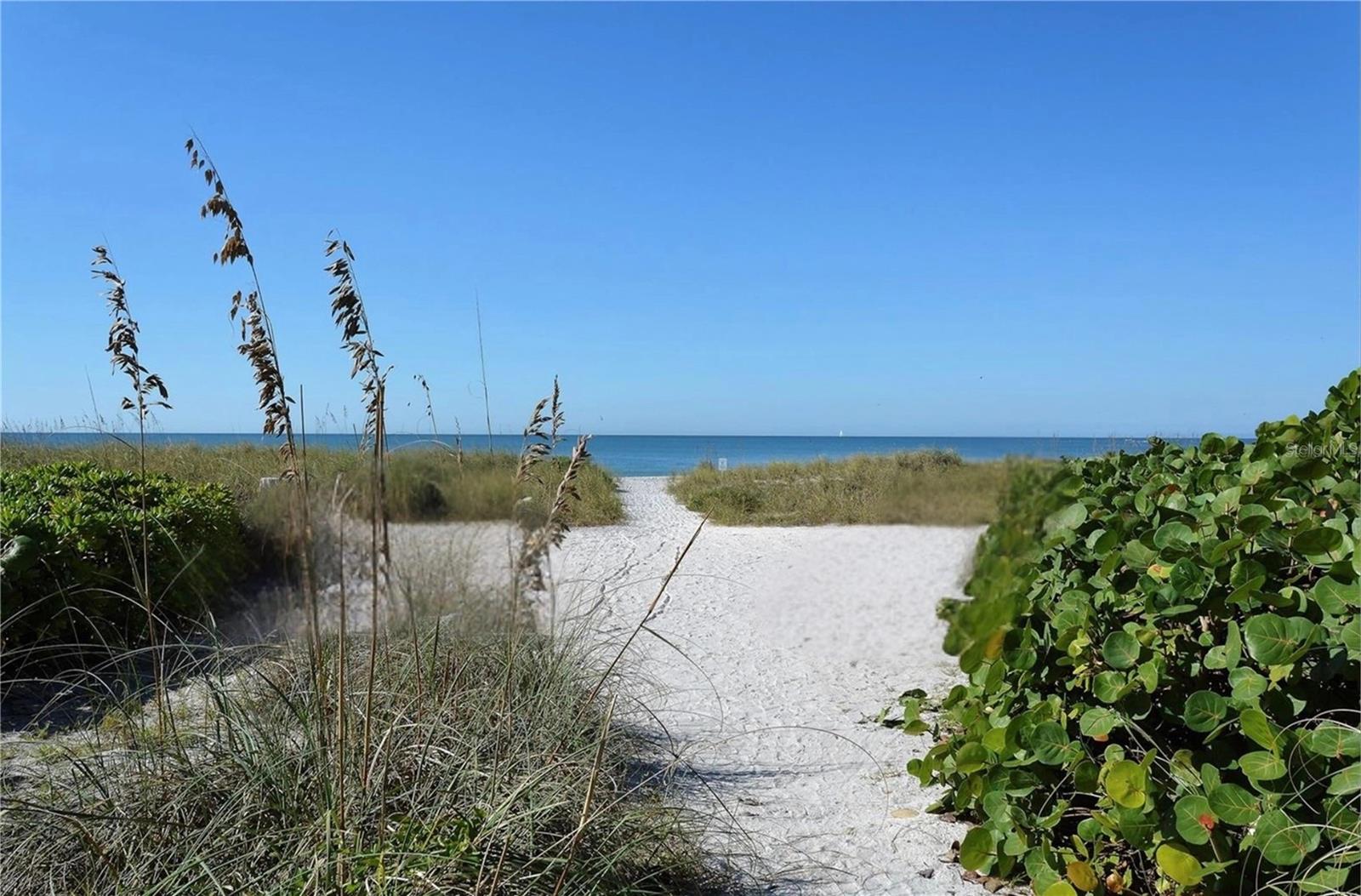 Image 45 of 48 For 5260 Gulf Of Mexico Drive 401
