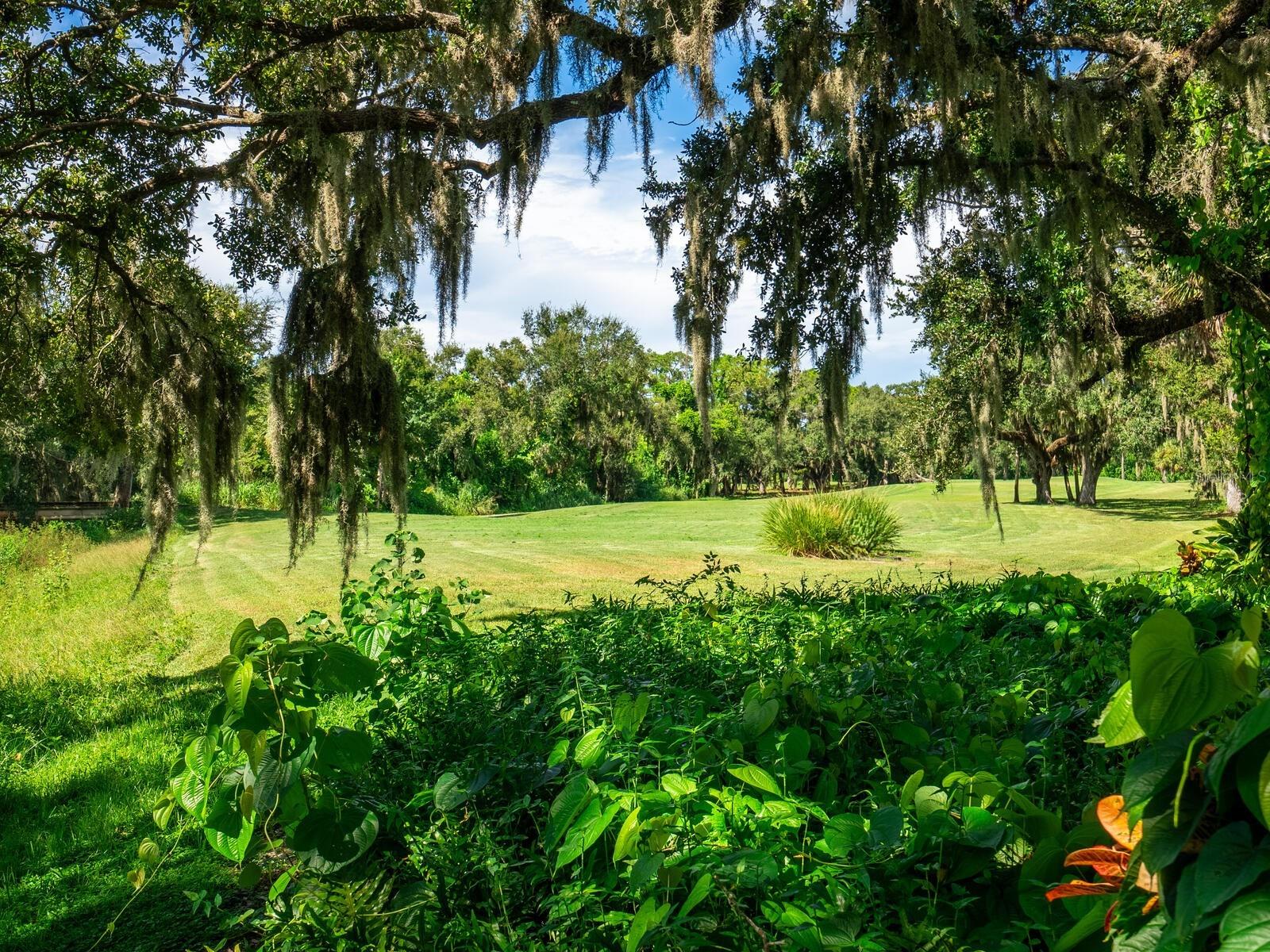 Image 6 of 38 For 4518 Whisperwood  1