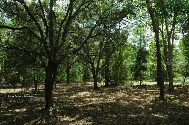 Listing Details for Grandville Avenue, HUDSON, FL 34669