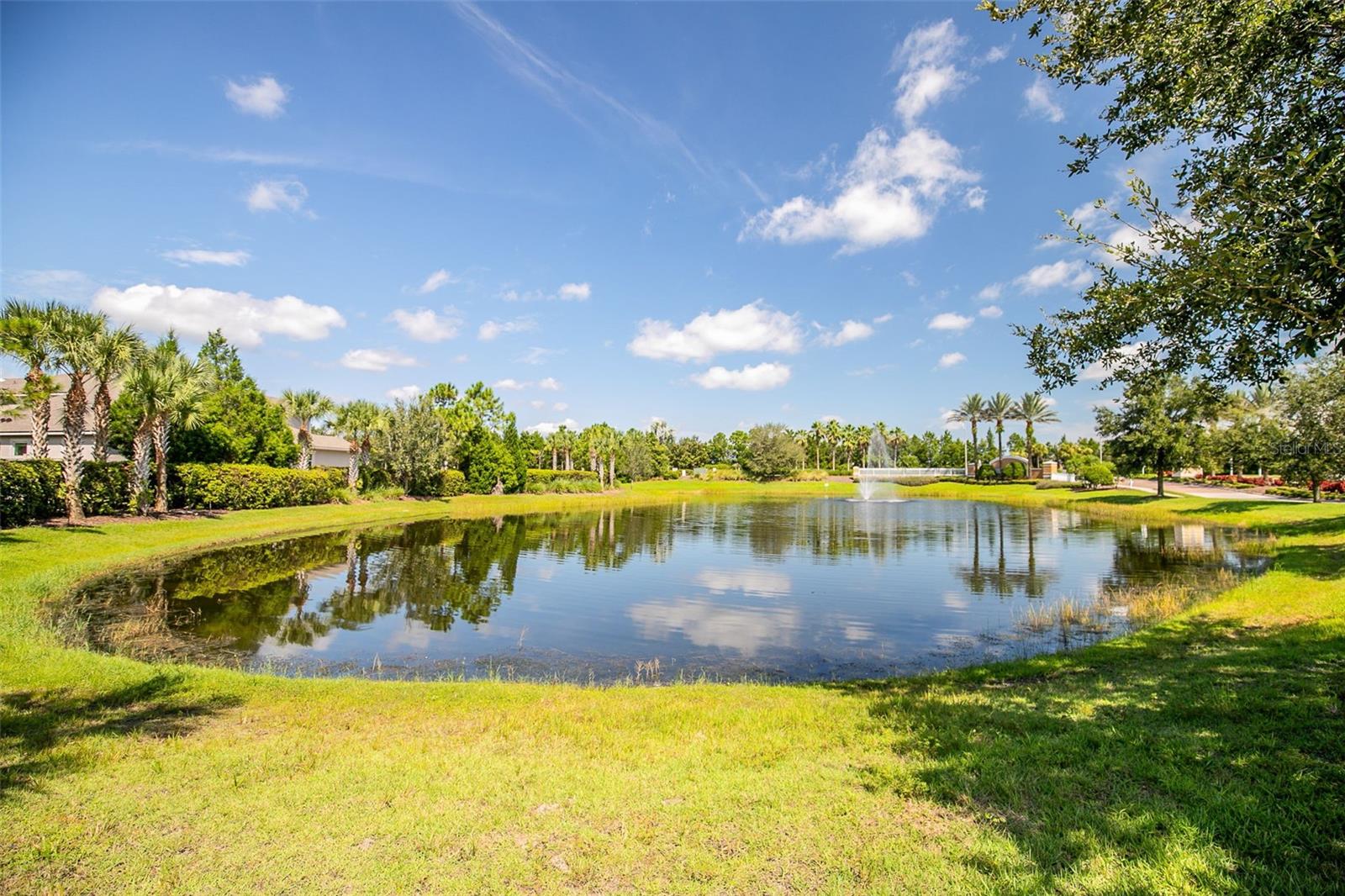 Image 42 of 63 For 11952 Brookside Drive