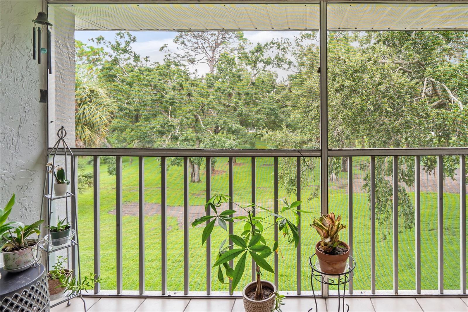 Image 26 of 31 For 1310 Glen Oaks Drive E 391e