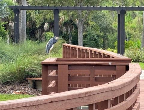 Image 39 of 42 For 261 Potenza Loop