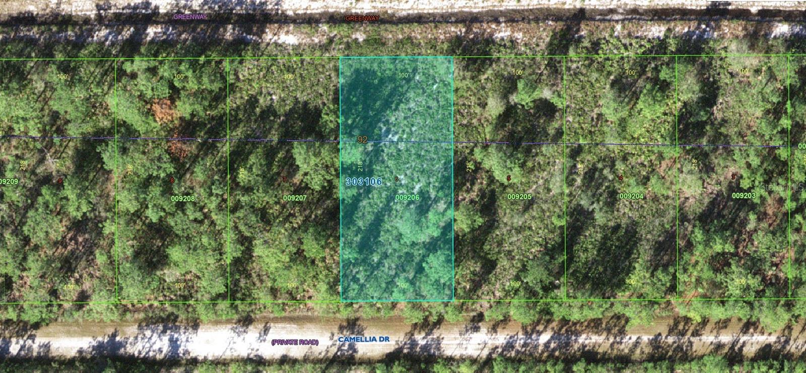 Details for 412 Camellia Drive, INDIAN LAKE ESTATES, FL 33855