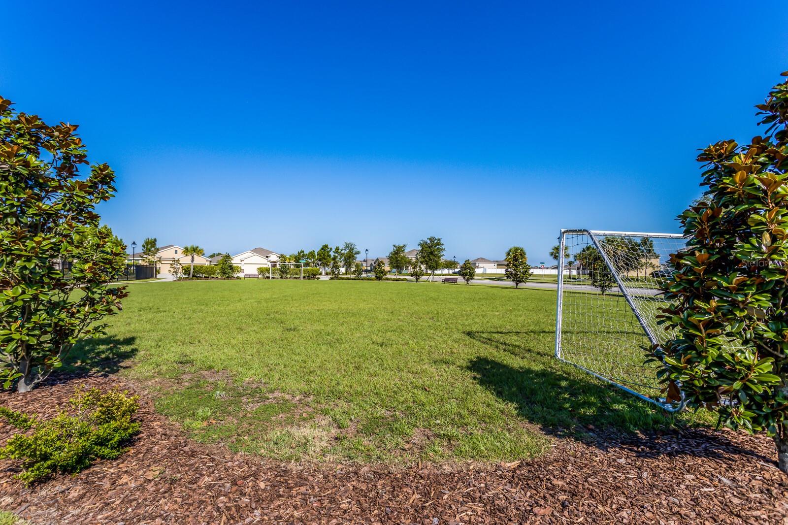Image 76 of 77 For 343 Tierra Verde Way