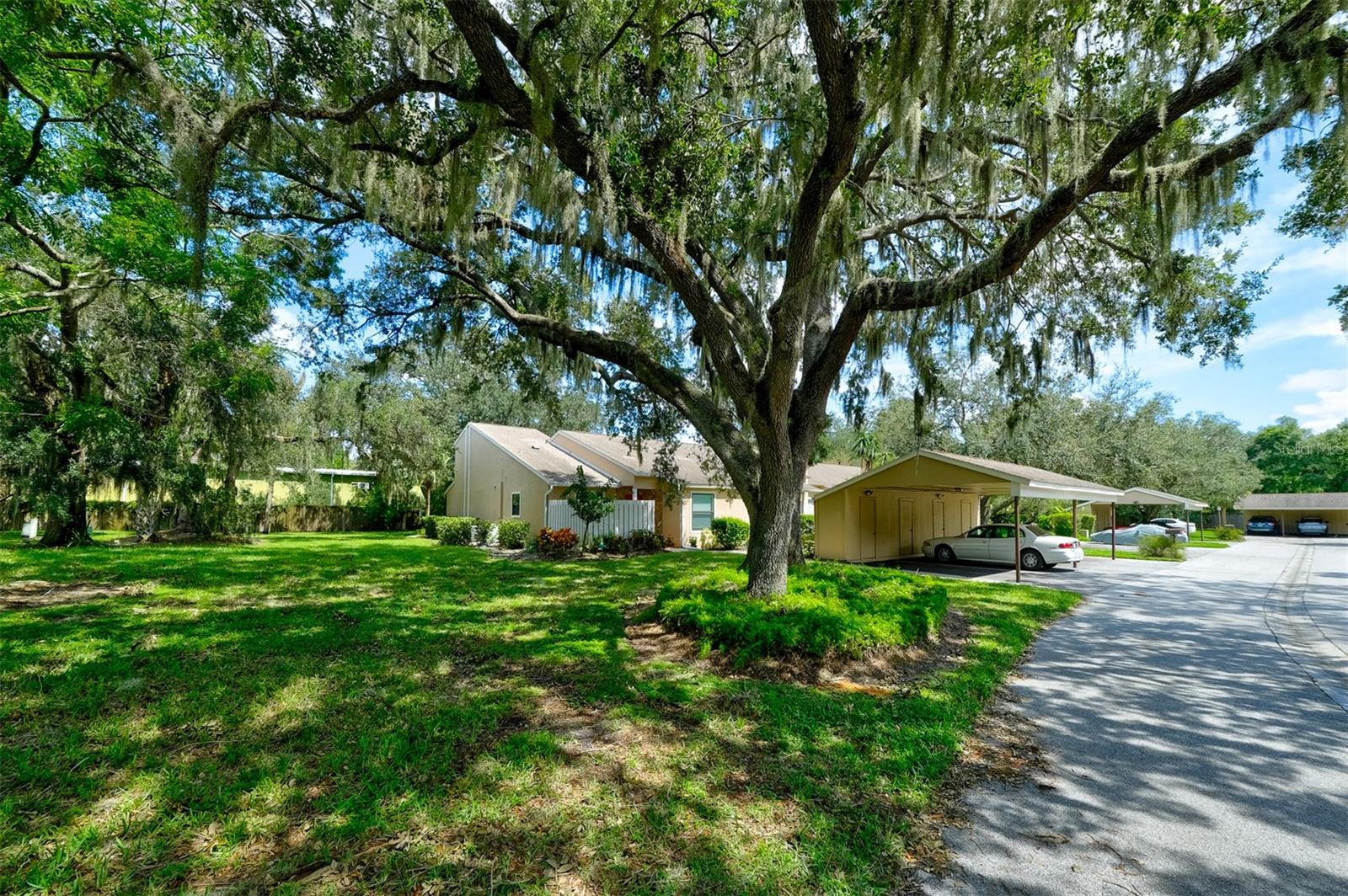 Image 5 of 65 For 3447 Tallywood Lane 7143
