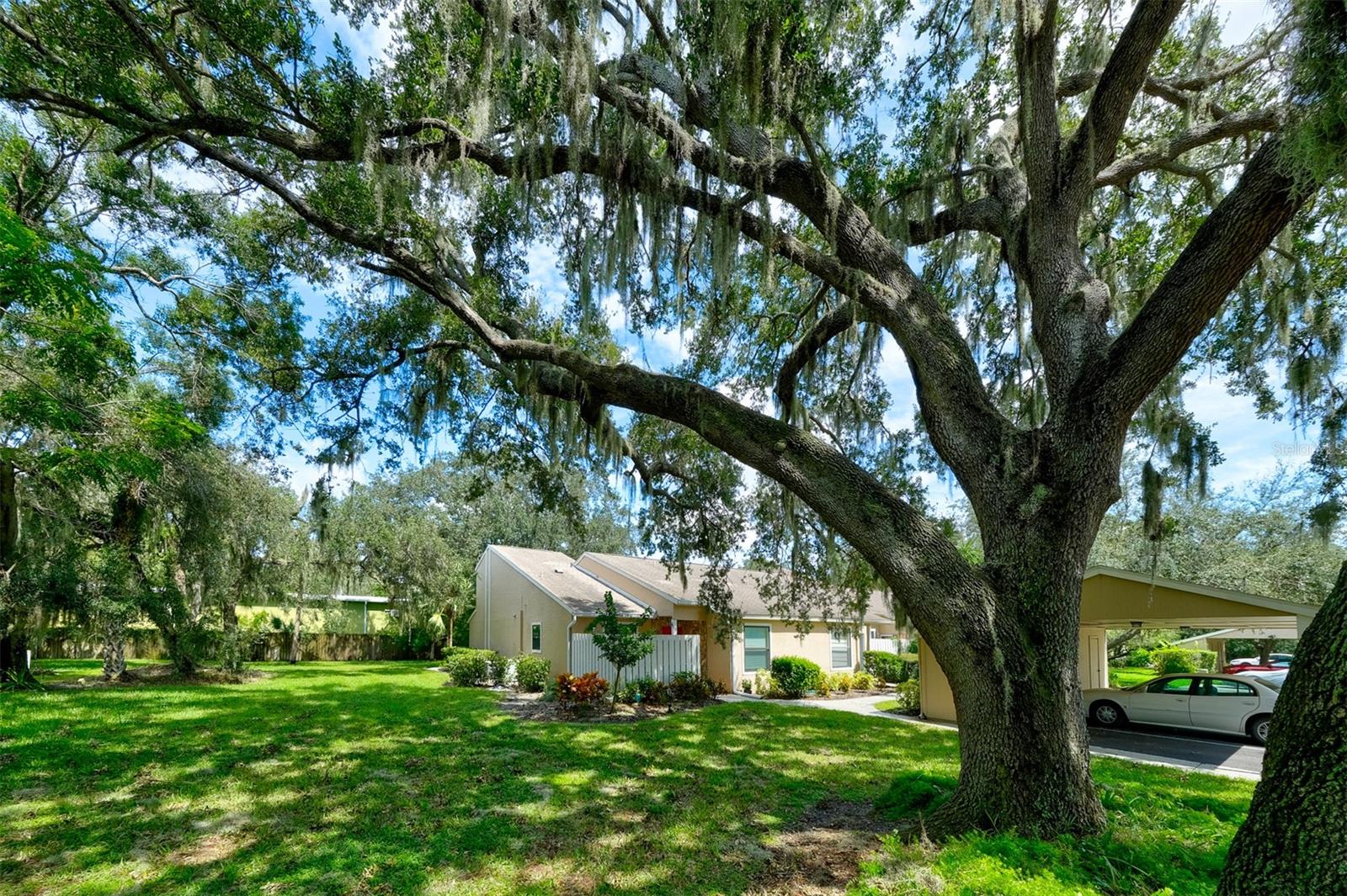 Image 6 of 65 For 3447 Tallywood Lane 7143