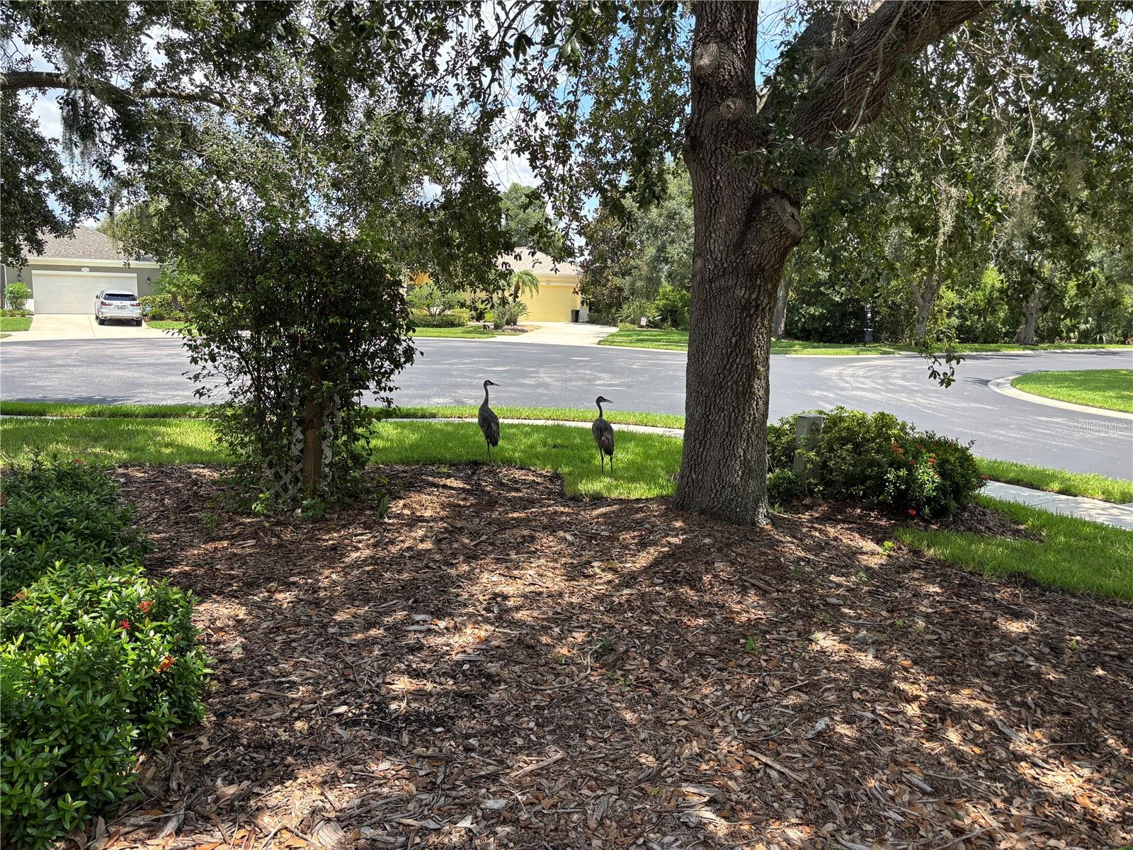 Image 29 of 35 For 7632 Drayton Circle