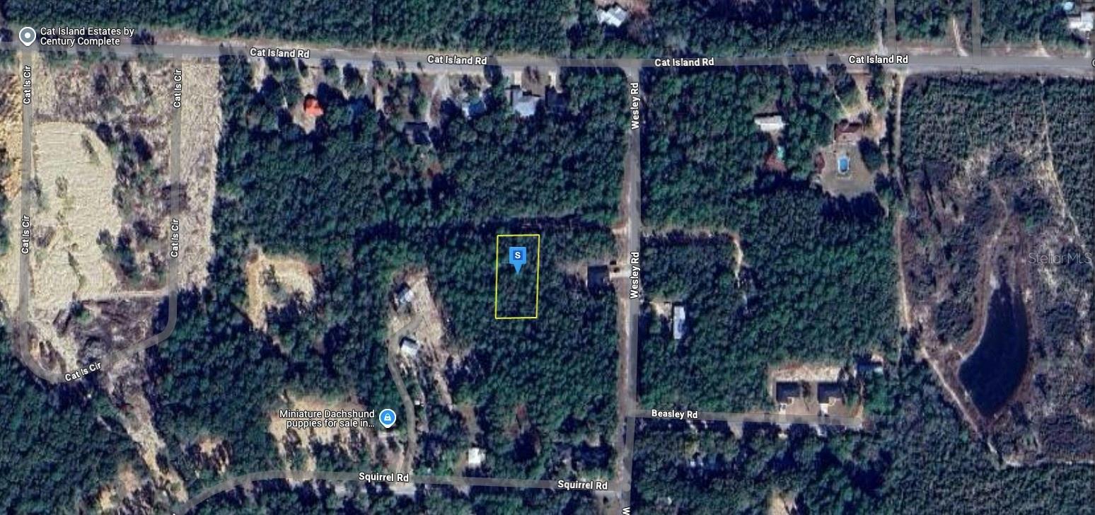 Image 2 of 7 For 98 Wesley Road