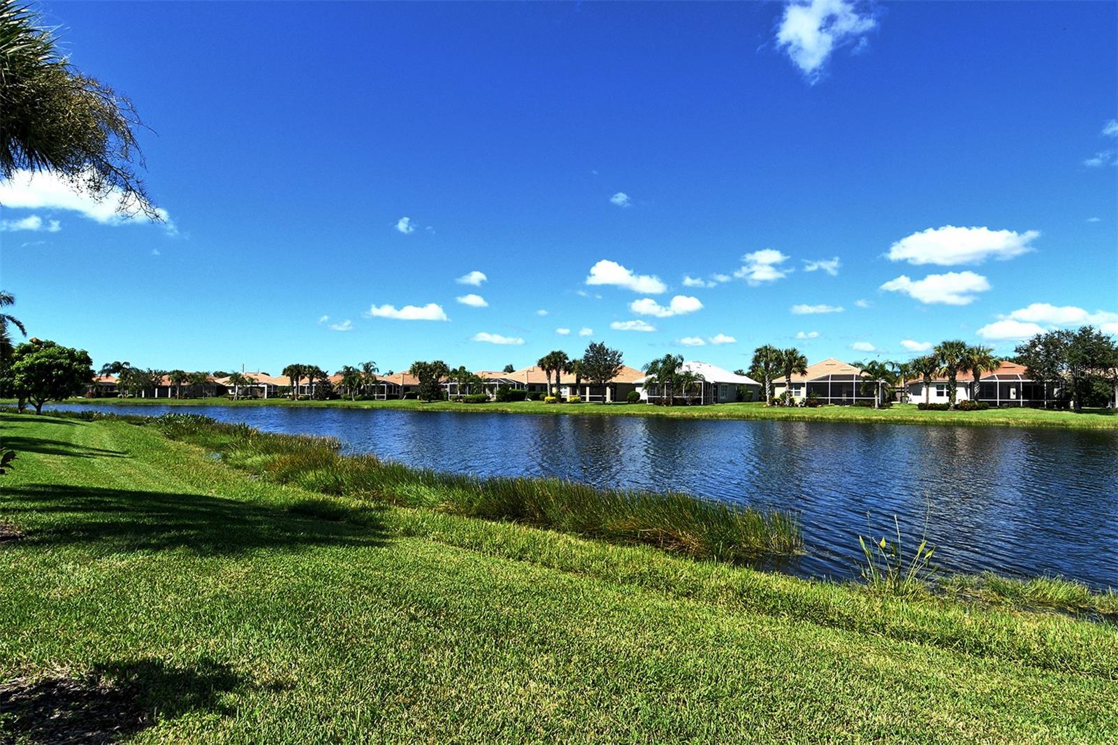 Image 45 of 90 For 19365 Rizzuto Street