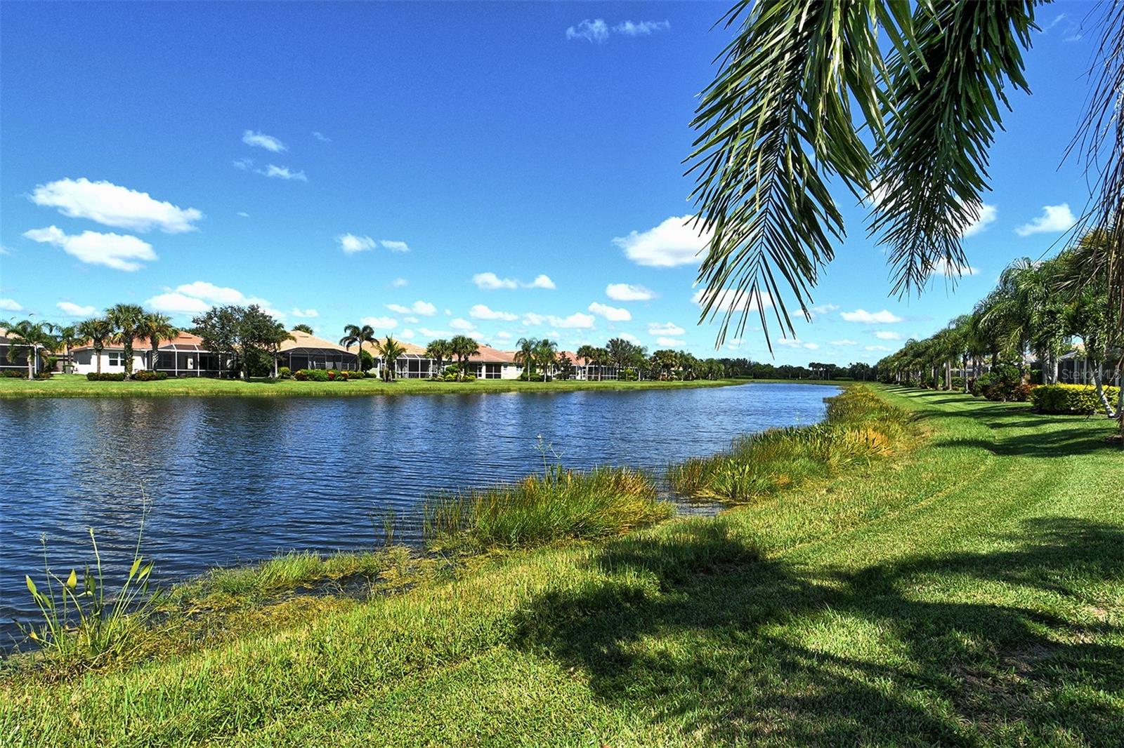 Image 47 of 90 For 19365 Rizzuto Street