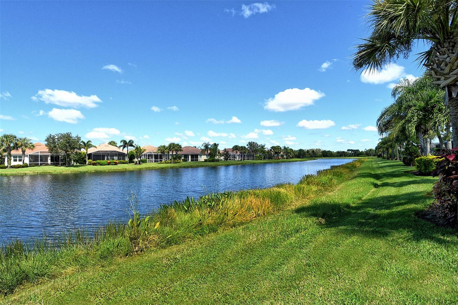 Image 48 of 90 For 19365 Rizzuto Street