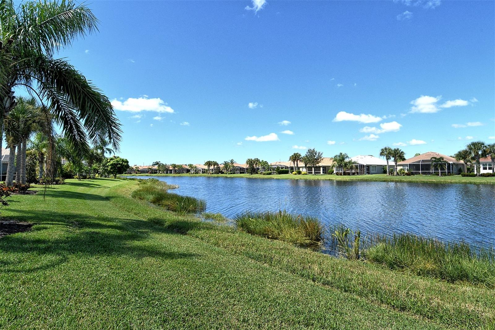 Image 50 of 90 For 19365 Rizzuto Street