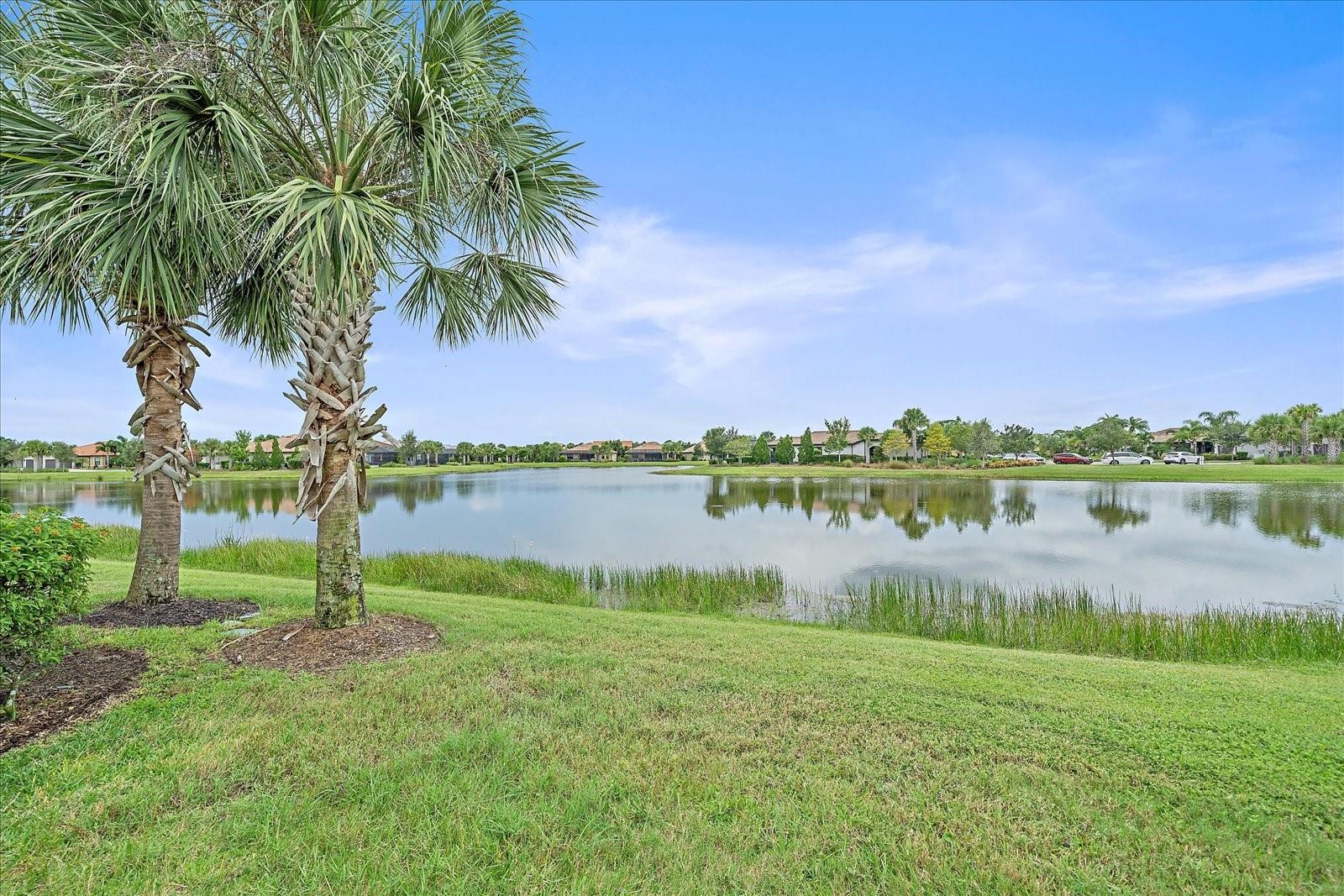 Image 36 of 41 For 17535 Hampton Falls Terrace