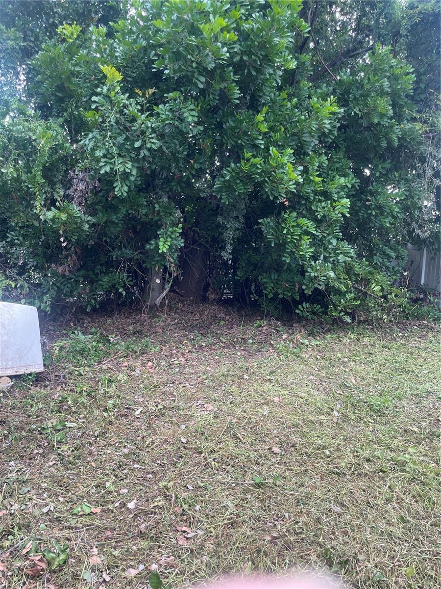 Image 6 of 8 For 2445 Webber Street