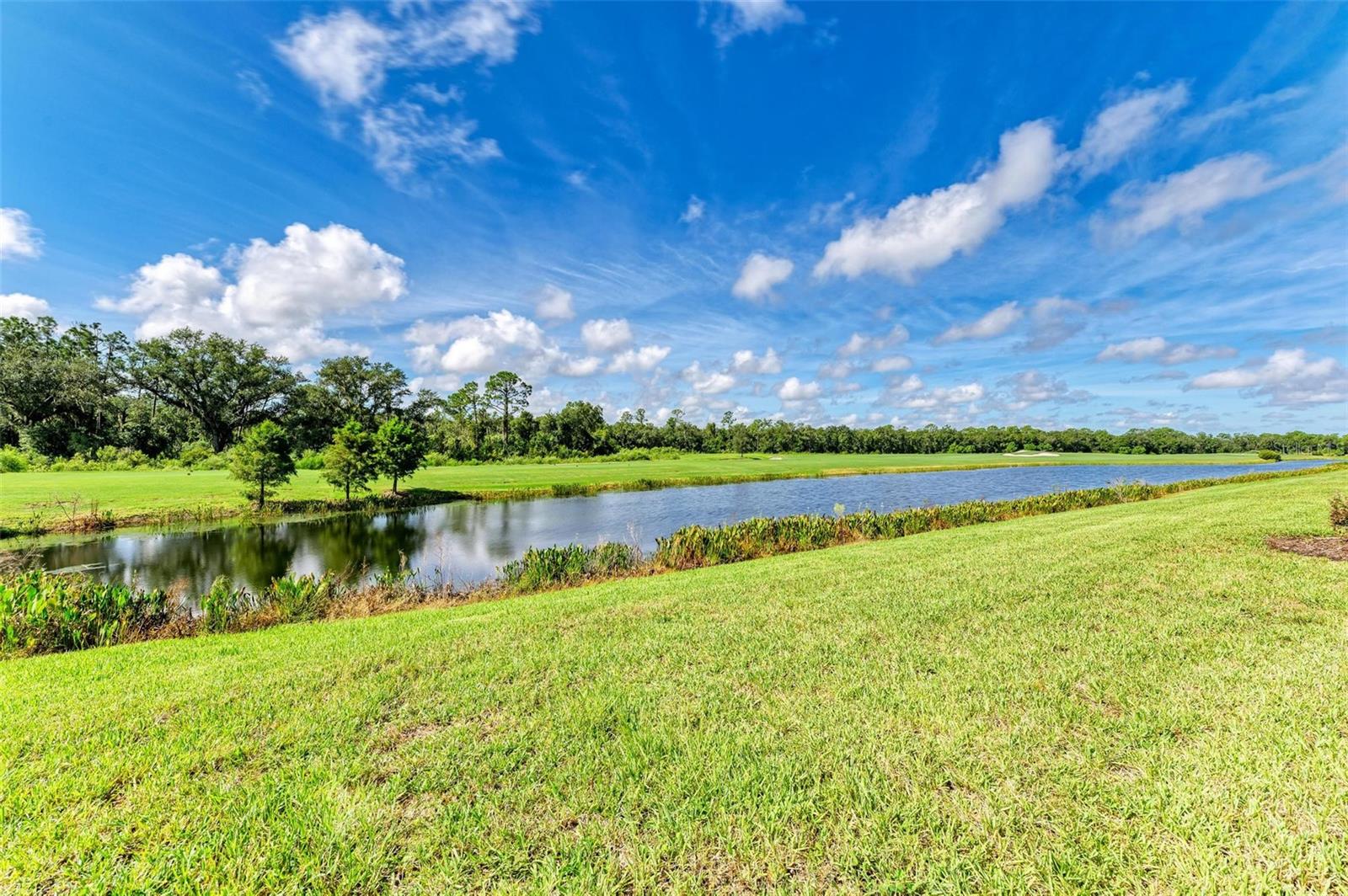 Image 29 of 73 For 18028 Gawthrop Drive 102