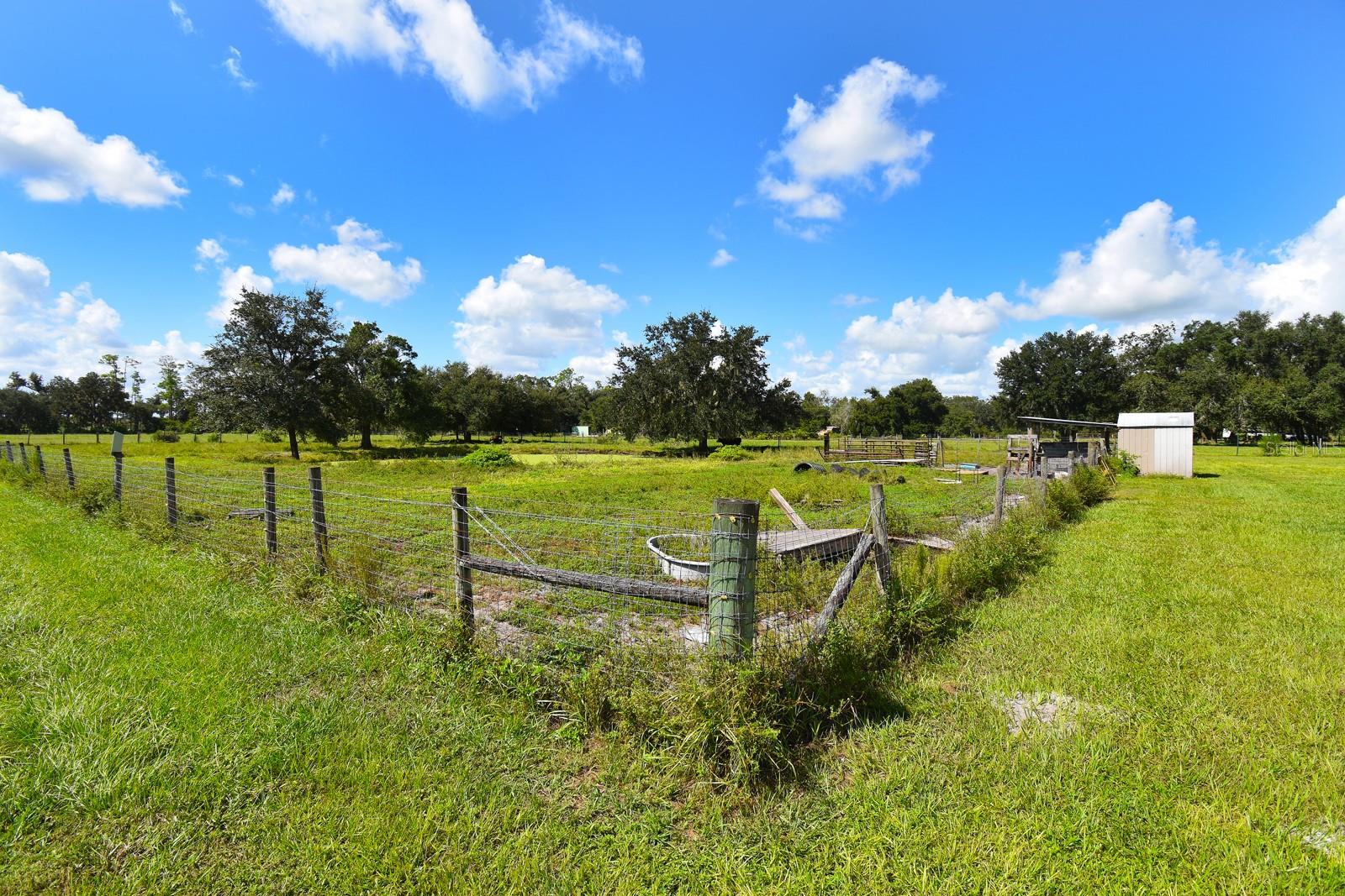 Image 27 of 46 For 30981 Singletary Road