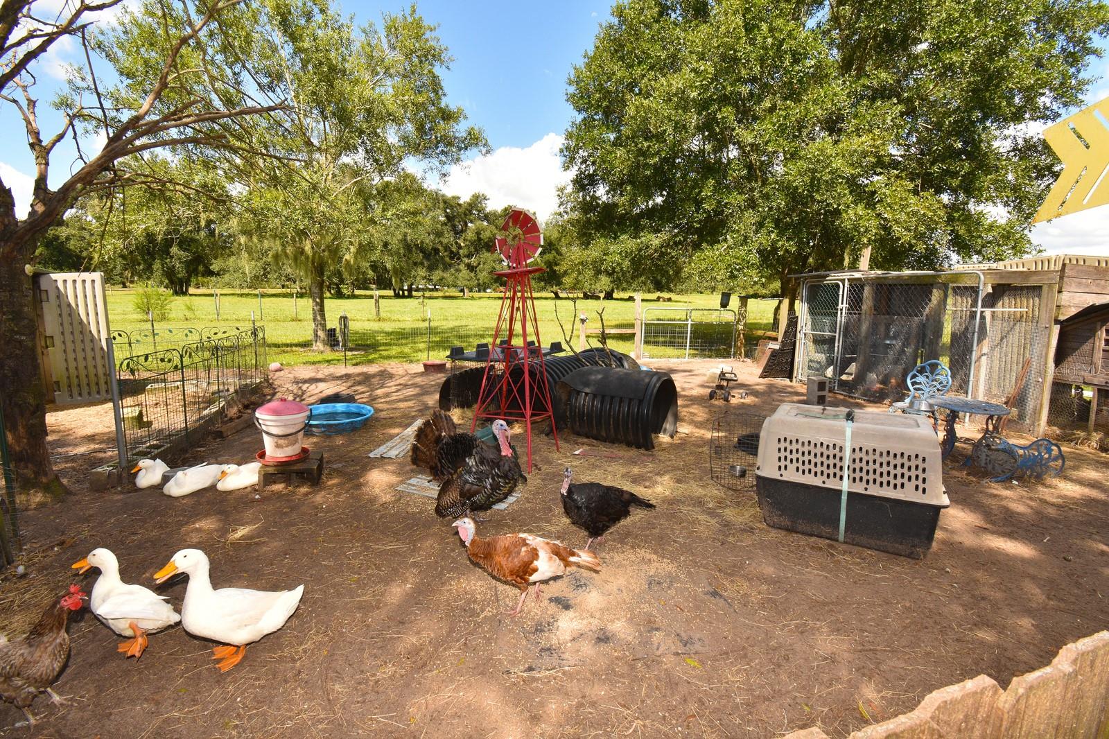 Image 29 of 46 For 30981 Singletary Road