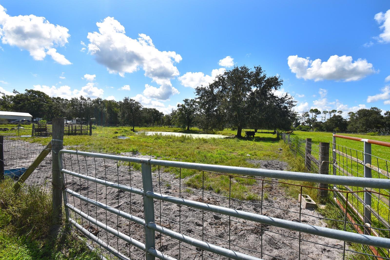 Image 30 of 46 For 30981 Singletary Road