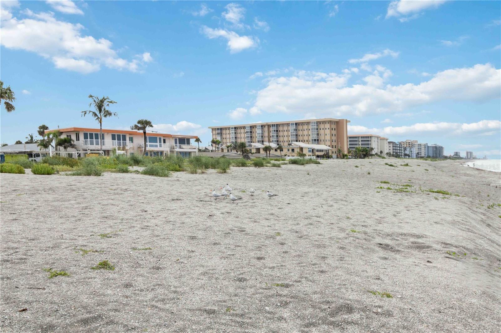 Image 43 of 69 For 1400 Tarpon Center Drive 204