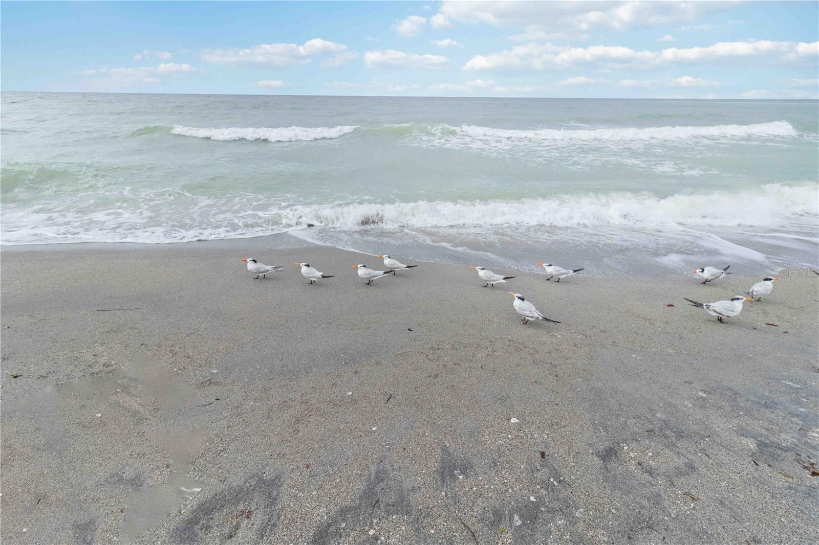 Image 45 of 69 For 1400 Tarpon Center Drive 204