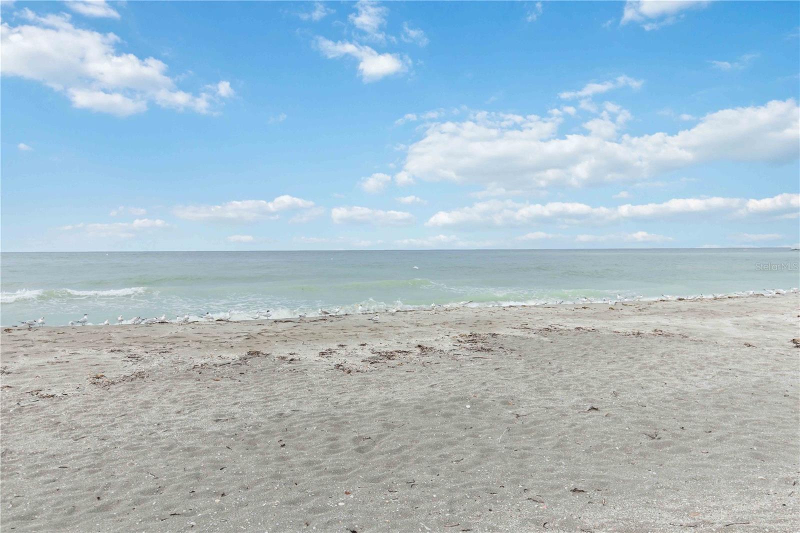 Image 47 of 69 For 1400 Tarpon Center Drive 204